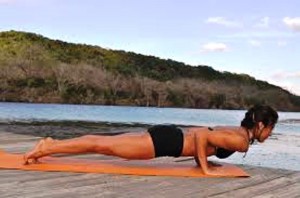 Chaturanga Dandasana