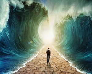 shutterstock_130088795