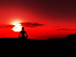 tumblr_m17i0lX45Y1qfpjv8