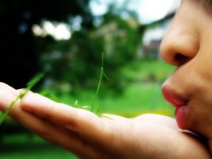 55917472_ed7a8f51b2_z